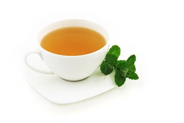 水菱角とは？本マコモとの違いや食べ方、栽培のコツを徹底解説