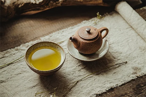 パメラ・アンダーソンの菜園を真似したい？実践的な6つのステップ