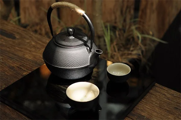 ツル植物で家を涼しく！自然の冷房効果とおすすめ7選を紹介