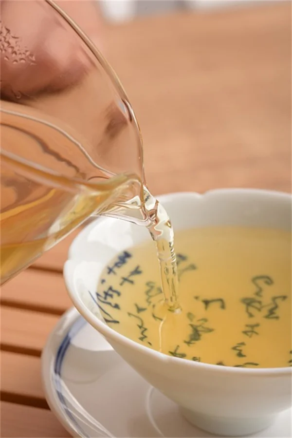 常绿植物の剪定時期が決め手！正しい方法とよくある失敗を徹底解説