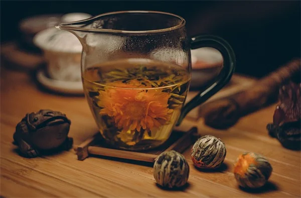秋のプライバシー植物おすすめ7選！あなたの庭にぴったりの種類は？