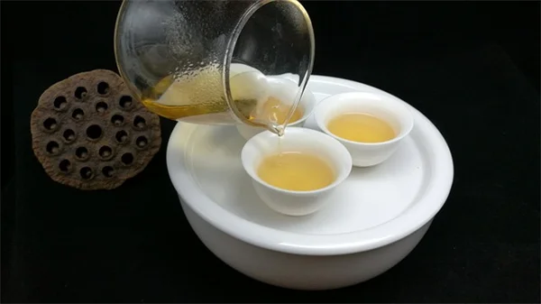 オンラインで植物を注文しても安全？99%安心できる7つのステップ